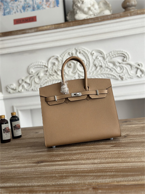 Bir.kin Sellier Bag Epsom Leather 25/30/35CM Gold Hardware In Chai Color HS