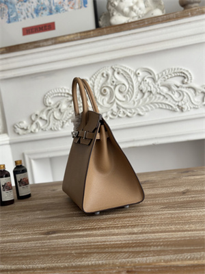 Bir.kin Sellier Bag Epsom Leather 25/30/35CM Gold Hardware In Chai Color HS