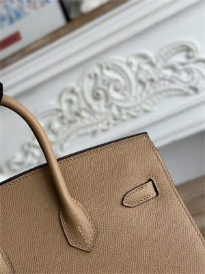 Bir.kin Sellier Bag Epsom Leather 25/30/35CM Gold Hardware In Chai Color HS