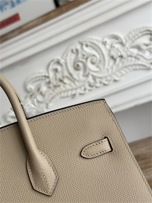 Bir.kin Sellier Bag Epsom Leather 25/30/35CM Gold Hardware In Trench Color HS