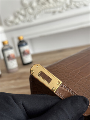 Kelly Pochette Bag Embossed Crocodile Gold Tone Hardware Brown HS