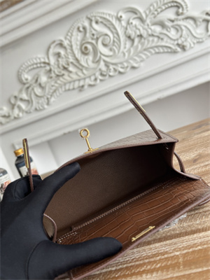 Kelly Pochette Bag Embossed Crocodile Gold Tone Hardware Brown HS