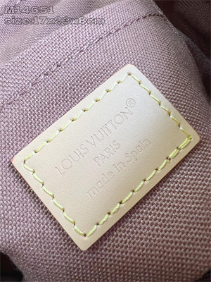 L.V Soho Mini Backpack Coated canvas & Cowhide-leather M14651