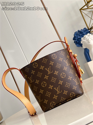 LV All In BB  Monogram Canvas White M12925