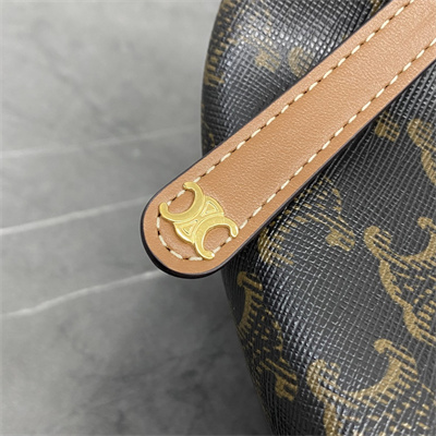 Ce**e teen lulu in triomphe canvas and calfskin