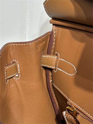 Bir.kin Bag Swift Leather & Canvas 25/30 Gold/Silver Hardware In Gold HS