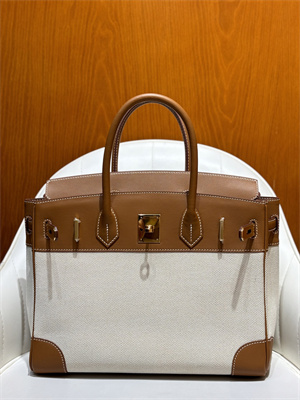 Bir.kin Bag Swift Leather & Canvas 25/30 Gold/Silver Hardware In Gold HS