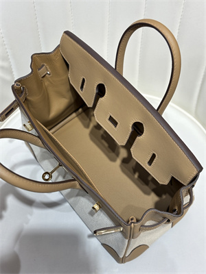 Bir.kin Bag Swift Leather & Canvas 25/30 Gold/Silver Hardware In Chai HS