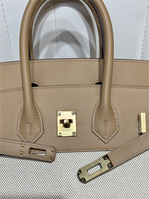 Bir.kin Bag Swift Leather & Canvas 25/30 Gold/Silver Hardware In Chai HS