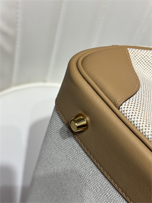 Bir.kin Bag Swift Leather & Canvas 25/30 Gold/Silver Hardware In Chai HS