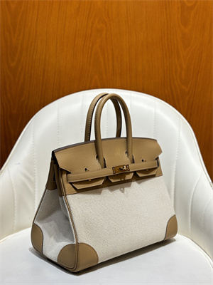 Bir.kin Bag Swift Leather & Canvas 25/30 Gold/Silver Hardware In Chai HS