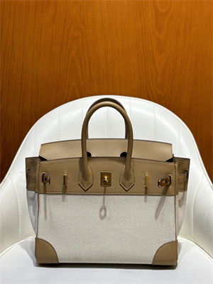 Bir.kin Bag Swift Leather & Canvas 25/30 Gold/Silver Hardware In Chai HS