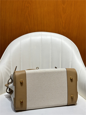 Bir.kin Bag Swift Leather & Canvas 25/30 Gold/Silver Hardware In Chai HS