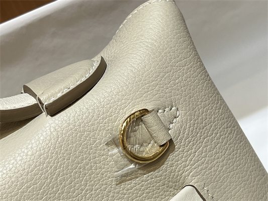 H**mes 2424 mini bag evercolor/ swift leather gold/silver tone metal craie color hs