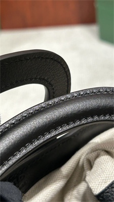 Go*ard beluga mini bag Go*ardine canvas & chevroches calfskin black