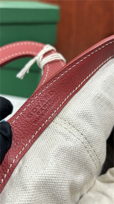 Go*ard beluga mini bag Go*ardine canvas & chevroches calfskin red