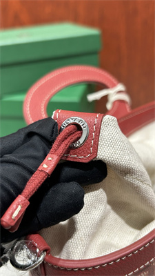 Go*ard beluga mini bag Go*ardine canvas & chevroches calfskin red