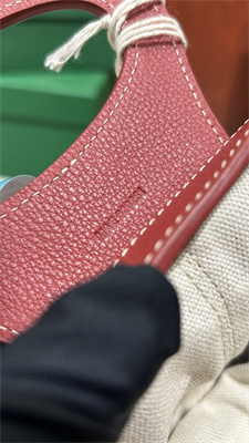 Go*ard beluga mini bag Go*ardine canvas & chevroches calfskin red