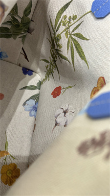 Go*ard anjou mini bag chevroches calfskin & Go*ardine canvas iris