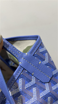 Go*ard saint l0*is pm bag in Go*ardine canvas & chevroches calfskin iris