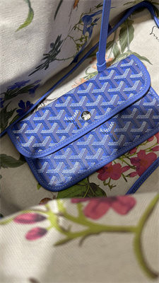 Go*ard saint l0*is gm bag in Go*ardine canvas & chevroches calfskin iris