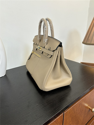 Birkin Colormatic Bag Swift Leather 25/30 Gold/Silver Hardware In Trench Color HS