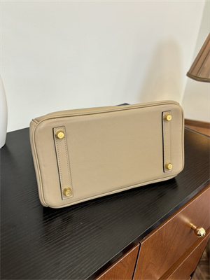 Birkin Colormatic Bag Swift Leather 25/30 Gold/Silver Hardware In Trench Color HS