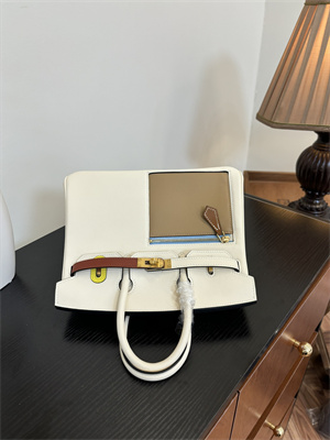 Birkin Colormatic Bag Swift Leather 25/30 Gold/Silver Hardware In Nata/Chai/Cuivre/Lime/Mauve Sylvester Color HS