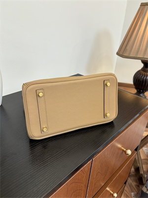 Birkin Colormatic Bag Swift Leather 25/30 Gold/Silver Hardware In CHAI, LIME, MAUVE SYLVESTRE, BLEU BRUME, CASSIS & NATA Color HS