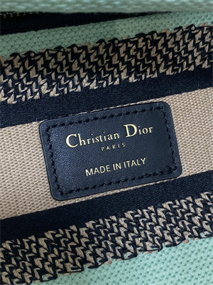 CD Medium Lady D-Lite Bag  Embroidery Green