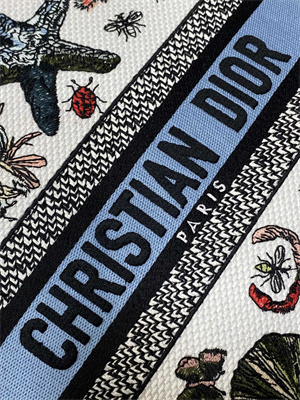 CD Medium Lady D-Lite Bag  Embroidery White