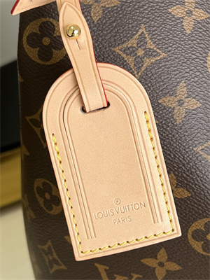 L.V Graceful MM Bag Monogram Canvas Inside Beige M43704