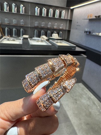 B*l*ai serpenti jewellery watch 38915