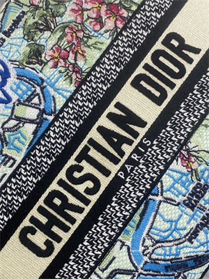 CD Medium Lady D-Lite Bag  Embroidery Lt Green Multicolors