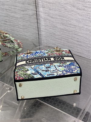 CD Medium Lady D-Lite Bag  Embroidery Lt Green Multicolors