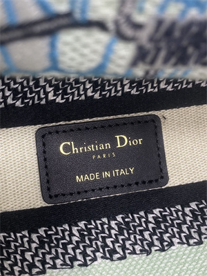 CD Medium Lady D-Lite Bag  Embroidery Lt Green Multicolors