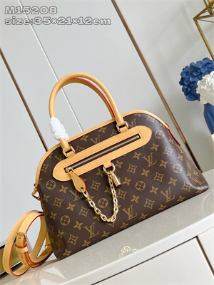 L.V EVer More PM Bag Monogram Canvas M15208